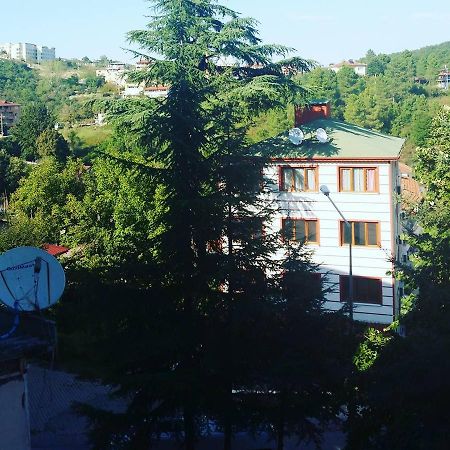 Thermal Orkide Pansiyon Yalova  Exterior foto