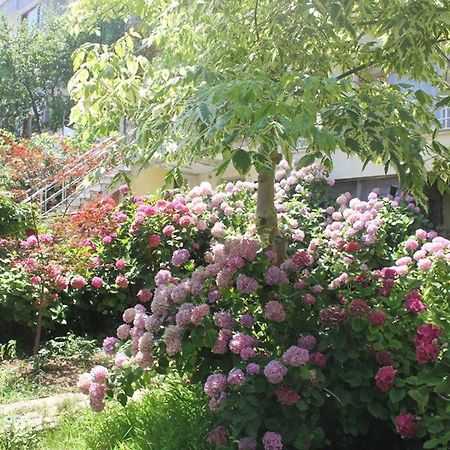 Thermal Orkide Pansiyon Yalova  Exterior foto