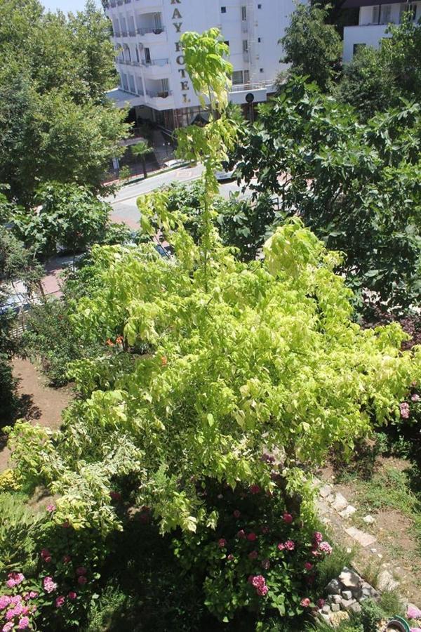 Thermal Orkide Pansiyon Yalova  Exterior foto